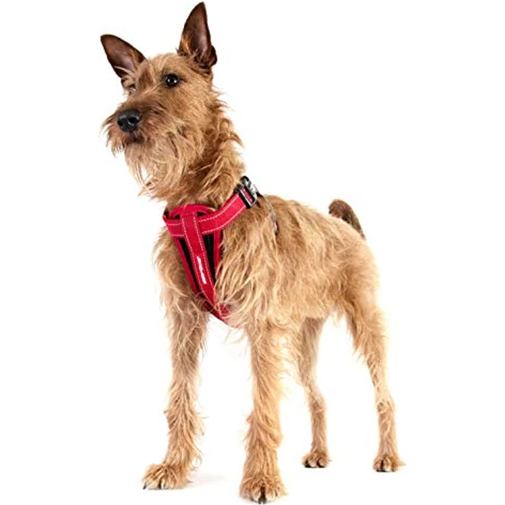 EzyDog Harness Neoprene Black, Ergonomisches Hundegeschirr für 3-6 Kg, Verstellbar, Walking/Car Harness – Bild 3