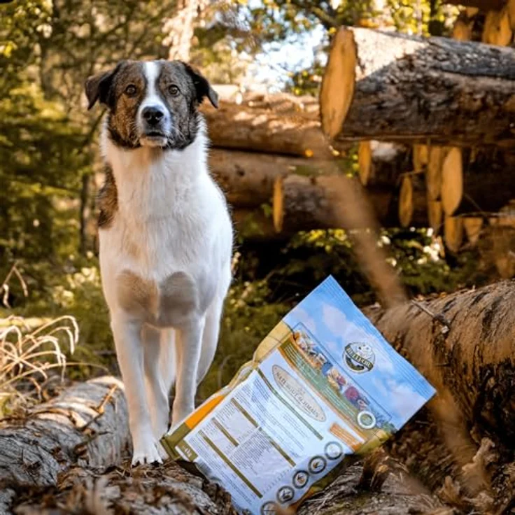 Bellfor Naturgut-Schmaus, Kaltgepresstes hypoallergenes Trockenfutter für ernährungssensible Hunde mit Insekten, getreidefrei, 4 kg – Bild 5