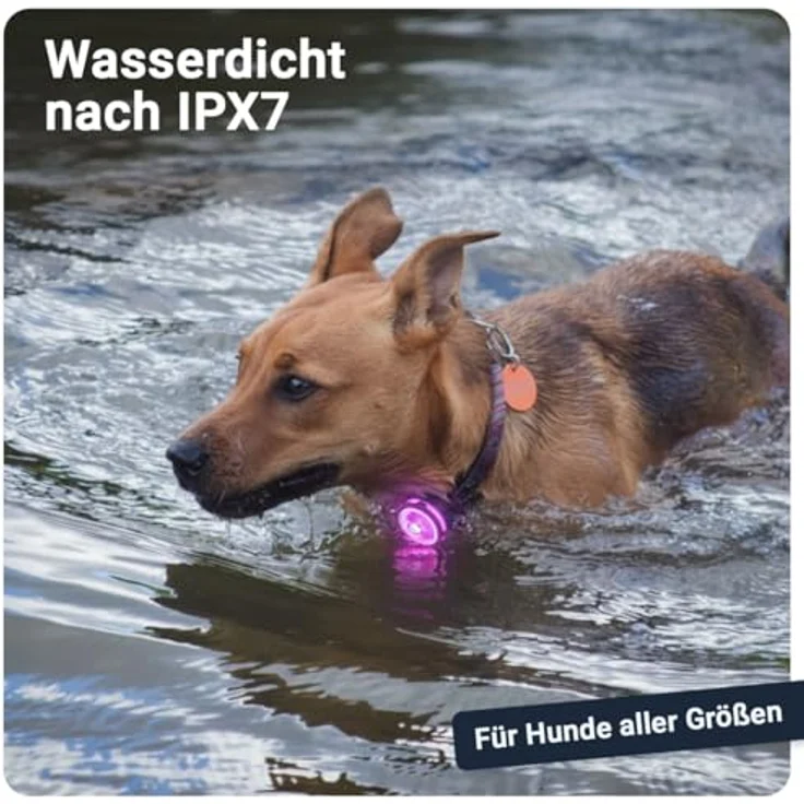 PAJ Light MINI, stark leuchtendes Mini Leuchthalsband für kleine + mittlere Hunde & Katzen – 100% wasserdicht, anpassbare Anbringung, 7 Farben für Sicherheit bei Nacht – Bild 3