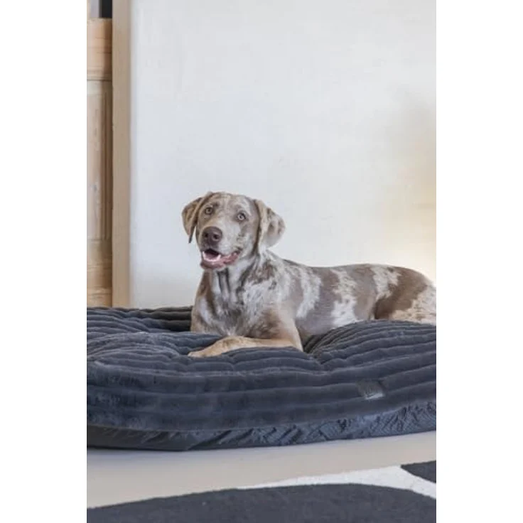 Designed By Lotte Tierkissen Hundekissen Reza anthrazit - Stilvolles Hundekissen aus recyceltem Polyester mit rutschfester Unterseite – Bild 2