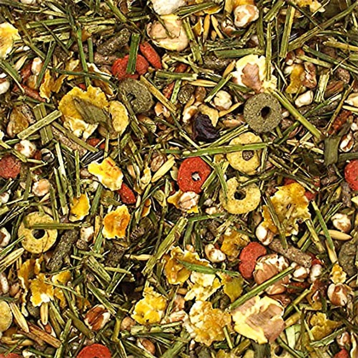 JR FARM Super-Nagerfutter 5 l Eimer, Hauptfuttermittel für Zwergkaninchen und Meerschweinchen, gentechnikfrei, hergestellt in Deutschland – Bild 2