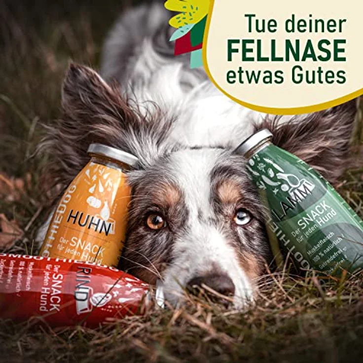 SmoothieDog Hunde Smoothie 12er Mix, flüssiges Hundeleckerli mit Huhn, Rind & Lamm, zucker- & glutenfrei, 250ml pro Flasche – Bild 4