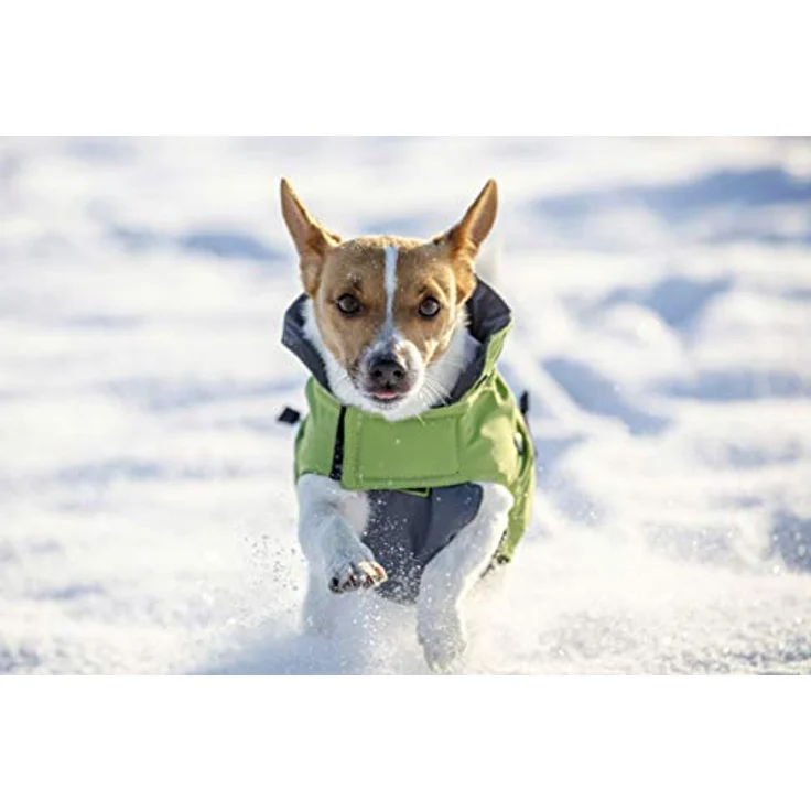 Kerbl Pet Outdoor Hundemantel Vancouver, grün/grau, wind- und wasserabweisend, abnehmbare Fleeceeinlage, 35 cm – Bild 4
