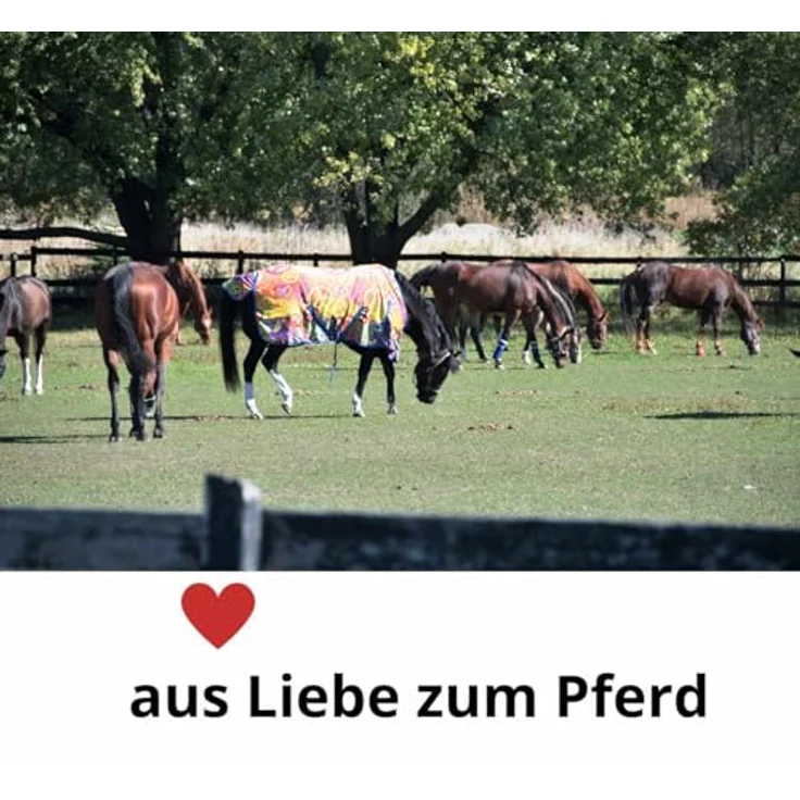 AMKA HorseGuard Flexi Rug Unterdecke 100 g Thermofüllung, atmungsaktive Pferdedecke, dunkelblau – Bild 2
