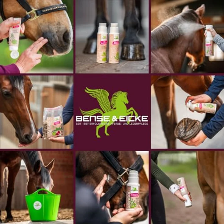 Bense & Eicke Anti-Itch Pflegespray für Pferde 500 ml, beruhigend mit Lebermoos, Aloe Vera, Teebaumöl und Totes Meer Salz gegen Juckreiz und Scheuerneigung – Bild 5