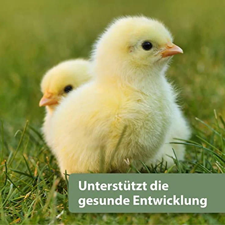 Quiko Hobby Farming - Vital Fit 250g, Hühnerfutter mit 100% reinem Knoblauch, reich an essentiellen Nährstoffen, Made in Germany – Bild 4