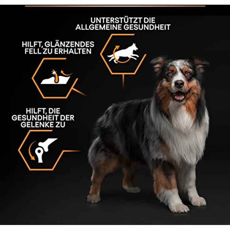 Pro Plan PRO PLAN Adult Medium Everyday Nutrition Huhn, Trockenfutter für ausgewachsene Hunde, 3 kg, nährstoffreich und zur Zahnpflege – Bild 4