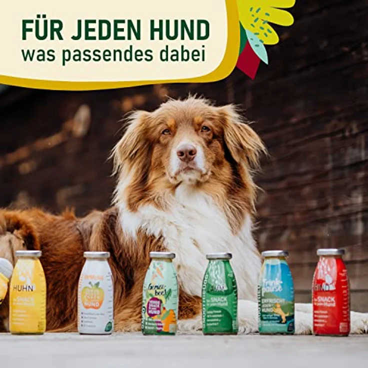 SmoothieDog Hunde Smoothie 12er Mix, flüssige Hundeleckerli mit Huhn, Rind, Lamm, Ente, Gemüsebeet - 100% natürlich, zucker- & glutenfrei, je 250ml – Bild 2