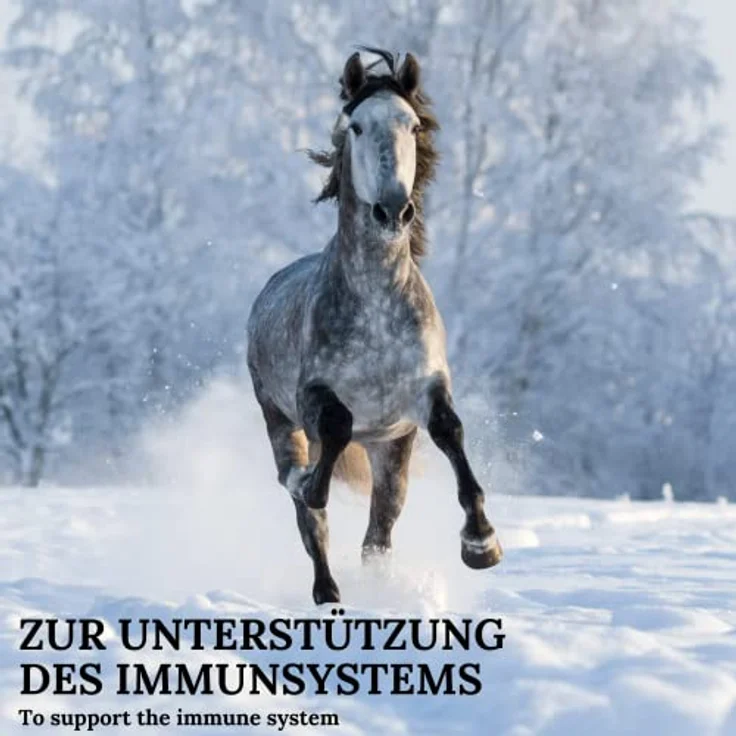 Stiefel Schwarzkümmelsamen für Pferde, 100% naturbelassene Kräuter zur Immunsystemstärkung, unterstützt Stoffwechsel, Darmflora, Haut & Schleimhäute, 1,5kg – Bild 4