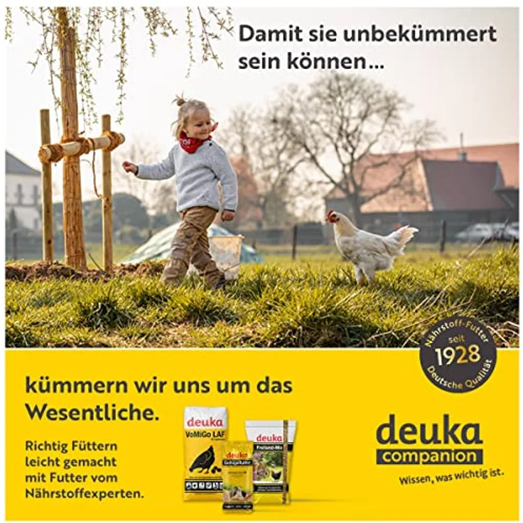 deuka All-mash R, 25 kg gekörnt, Aufzuchtfutter für Junghennen ab 8. Lebenswoche, Alleinfuttermittel, hochwertige Nährstoffversorgung – Bild 3