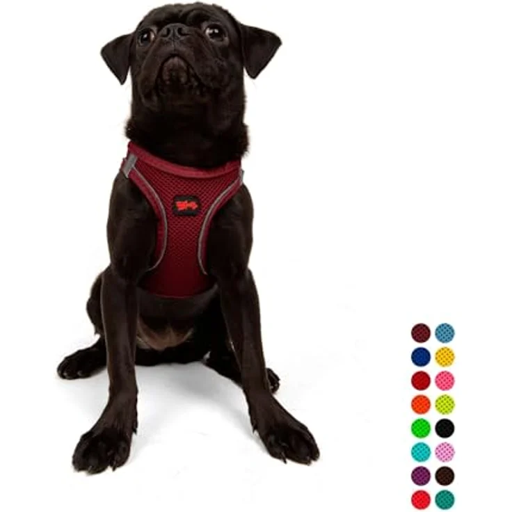 Tailpetz Air-Mesh Brustgeschirr für kleine und mittelgroße Katzen und Hunde – Weich, Atmungsaktiv, Strapazierfähig, Bordeaux, M (Brustumfang 53–59cm) – Bild 1