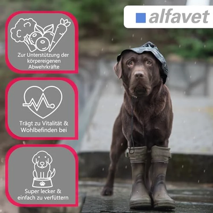 Alfavet CaniGum Fluu, Ergänzungsfuttermittel für Hunde zur Unterstützung der Abwehrkräfte, mit Kapuzinerkresse, Vitamin C, Zink und B-Vitaminen, 80g Beutel (ca. 40 Kaudrops) – Bild 3