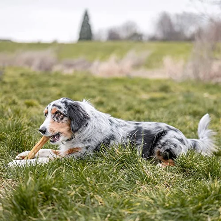 Nobby Kauknochen gepresst für Hunde, 21,5 cm, 2er Pack aus Rinderhaut, 170 g – Bild 3
