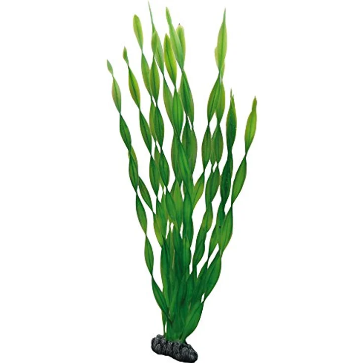 HOBBY Aquariendeko Vallisneria, 46 cm Kunststoffpflanze mit natürlicher Bewegung für Aquarien – Bild 1