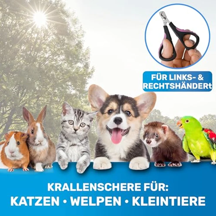 BluePet Mini Krallenschere für Katzen, Hunde, Kaninchen & Welpen, präzise Nagelschneider für schmerzfreies Krallenschneiden – Bild 4