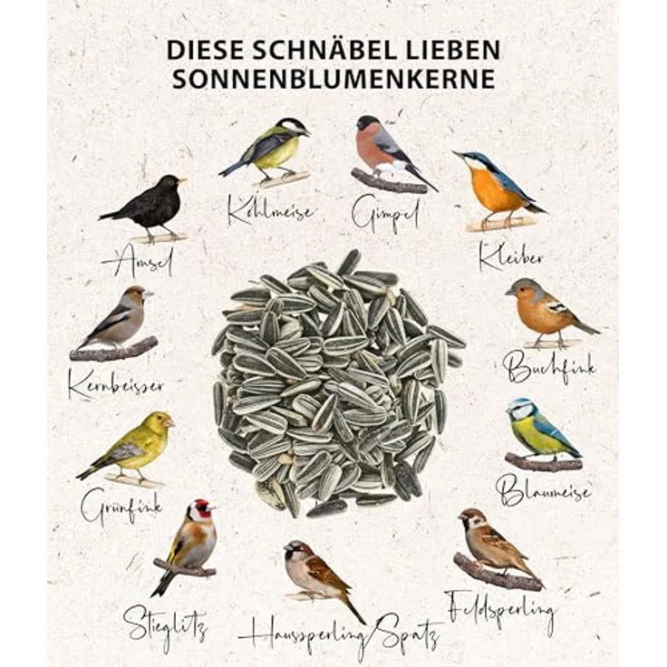 Dehner Natura Premium Wildvogelfutter, Sonnenblumenkerne, proteinreiches und energiereiches Ganzjahresfutter, 20 kg – Bild 3