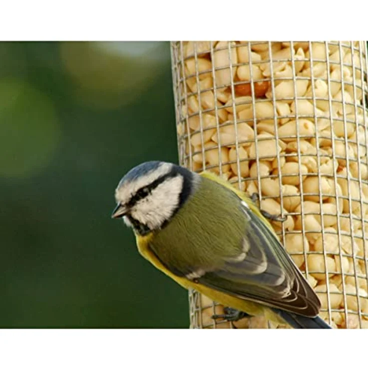 dobar 11523 Großer Futterspender für Vögel mit Edelstahlgitter, XL Futterstation-Futtersäule für Wildvögel zum Aufhängen, 9.5 x 9.5 x 39 cm, Metall – Bild 5