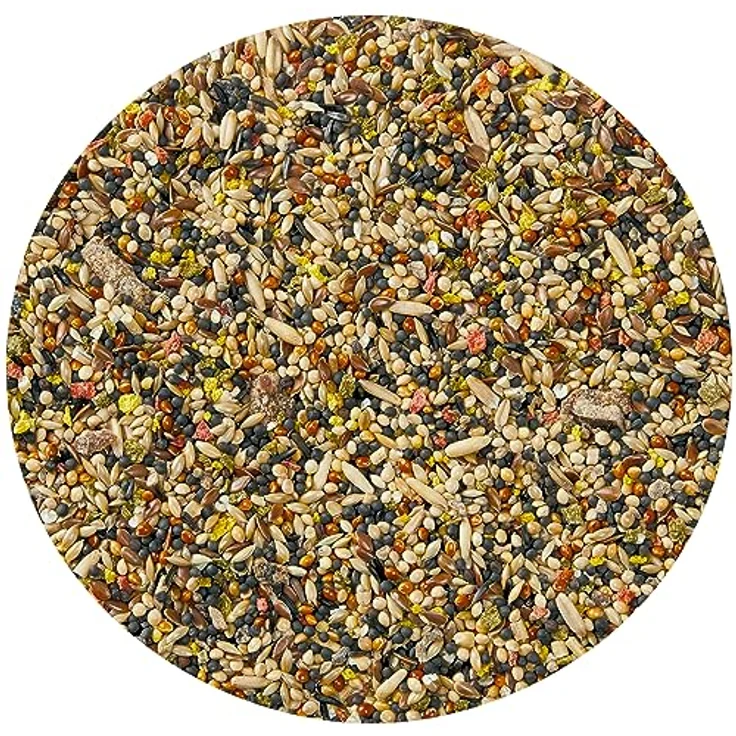 Vitakraft Cocktail-Frucht, Komplettnahrung für Kanarienvögel mit sonnengoldenen Früchten und Samen, 200 g – Bild 5