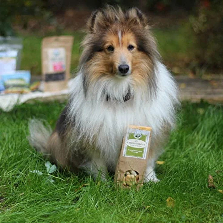 Bellfor Knabber-Schmaus Getreidefrei Hundekekse mit frischem Kaninchenfleisch, glutenfreie Leckerli zur Zahnpflege, 100 g – Bild 5