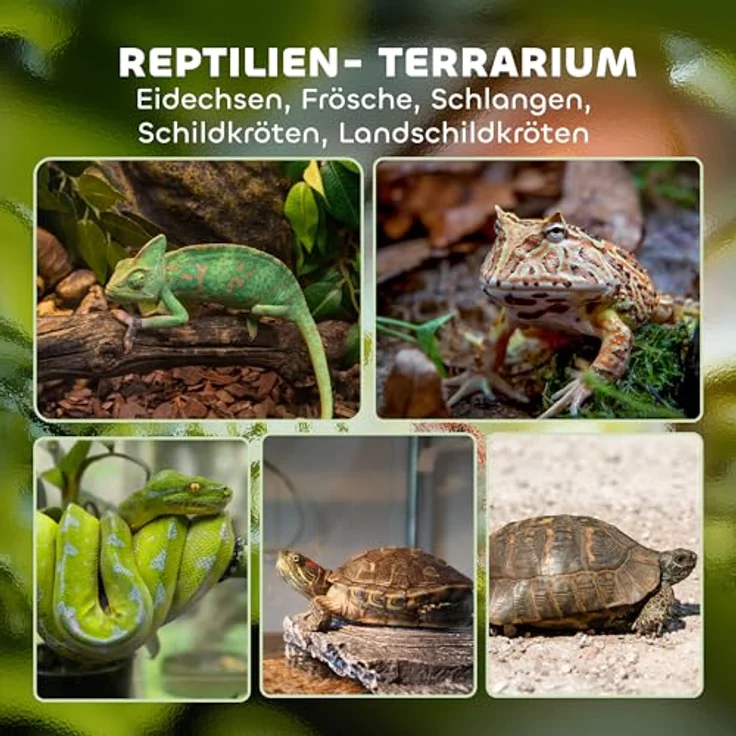 PawHut Terrarium für Reptilien, Glasterrarium 48L mit Frontbelüftung, Steinrückwand, ausbruchsicherem Drehverschluss, für Amphibien und Spinnen, Schwarz, 50 x 30 x 35 cm – Bild 3