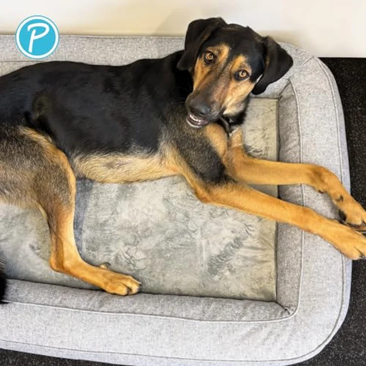 Petlando Hunde-Bett Lima Ortho, orthopädisches Hundebett in Stone, Druckentlastung, abnehmbarer Bezug, waschbar bei 30 °C, Wendekissen mit Fellimitat – Bild 9