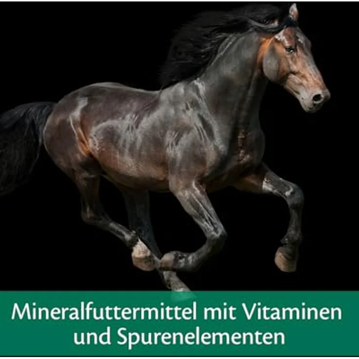 EQUISTRO® Mega Base, Ergänzungsfuttermittel für Pferde zur Nährstoffbedarfsdeckung, Mineralstoff- und Vitaminmischung, 10kg – Bild 5