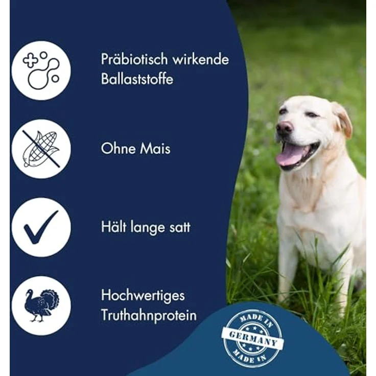 Dr. Clauder's Best Choice Senior Light, Weizenfreies Trockenfutter für ältere Hunde zur Gewichtskontrolle, 12,5kg mit Truthahn und Reis – Bild 3