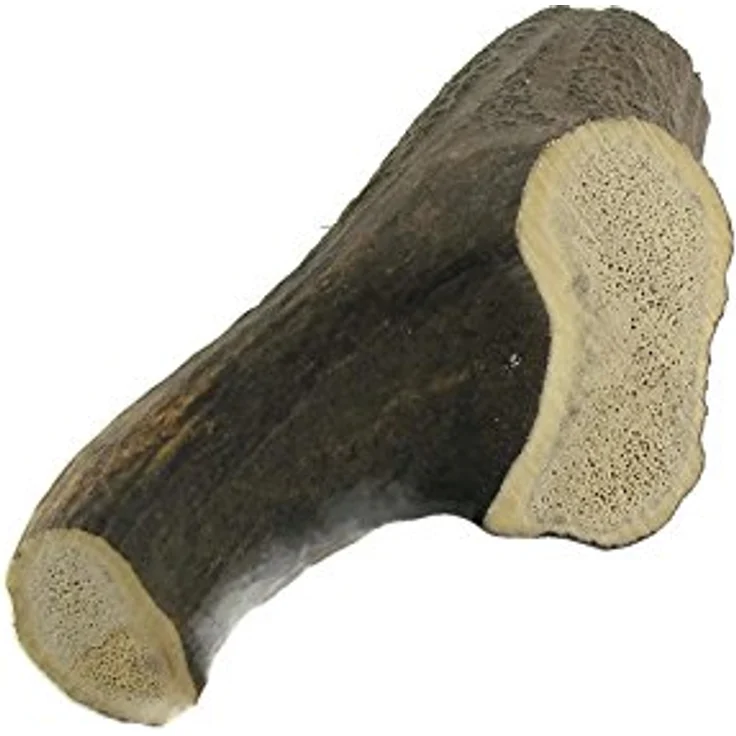 ARTISAN GIFT CO Hirschgeweih für Hunde – Natürlicher Kauknochen L, handgeschnitten, mineralstoffreich und kalorienarm, geeignet für Welpen und Hunde – Bild 5