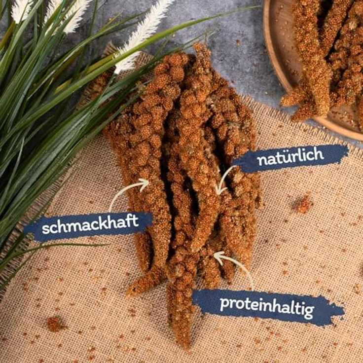 Lyra Pet® Kolbenhirse rot, 2 kg handverlesenes Vogelfutter für Sittiche & Kanarienvögel, natürliche Nährstoffquelle für Zier- und Wildvögel, ideal für das ganze Jahr – Bild 2