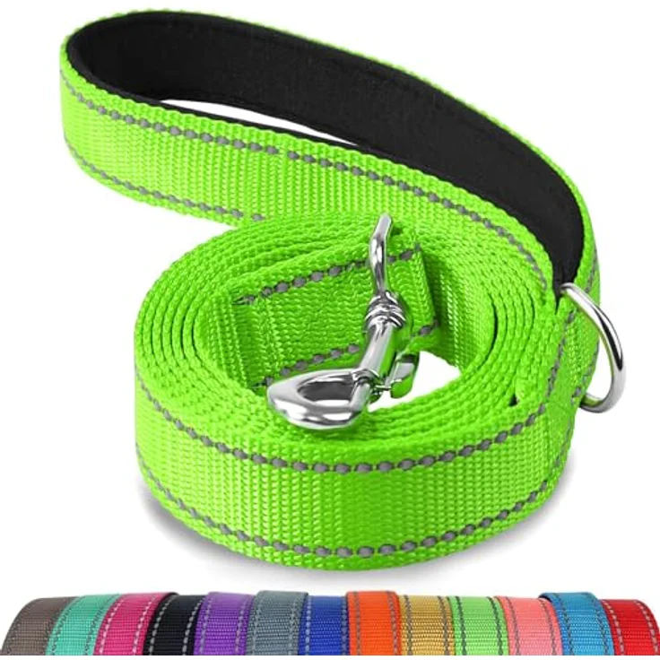 Joytale Hundeleine für Große und Mittelgroße Hunde, Doppelseitig Reflektierende Nylonleine mit Gepolstertem Griff, 1,8m x 2,5cm, Grün – Bild 1