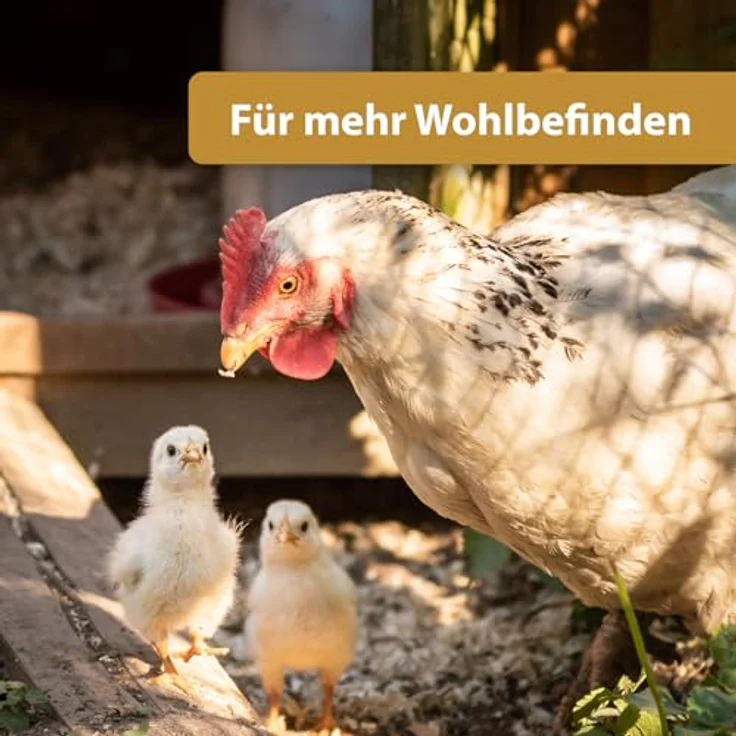 Quiko Hobby Farming Fitness Kräuter Ball für Hühner, 4x 100g, Bunter Fitness Ball aus schmackhaften Kräutern und Leckereien, Hühner Beschäftigungsspielzeug – Bild 3