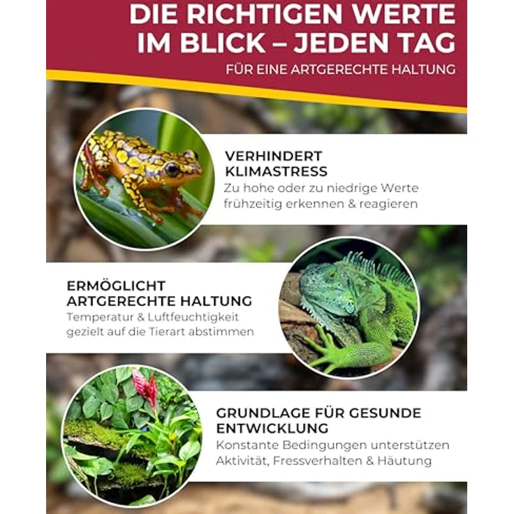 HOBBY Terraristik analoges Hygrometer & Thermometer, zur exakten Kontrolle der Luftfeuchtigkeit und Temperatur in Terrarien, selbstklebend, wartungsfrei – Bild 3