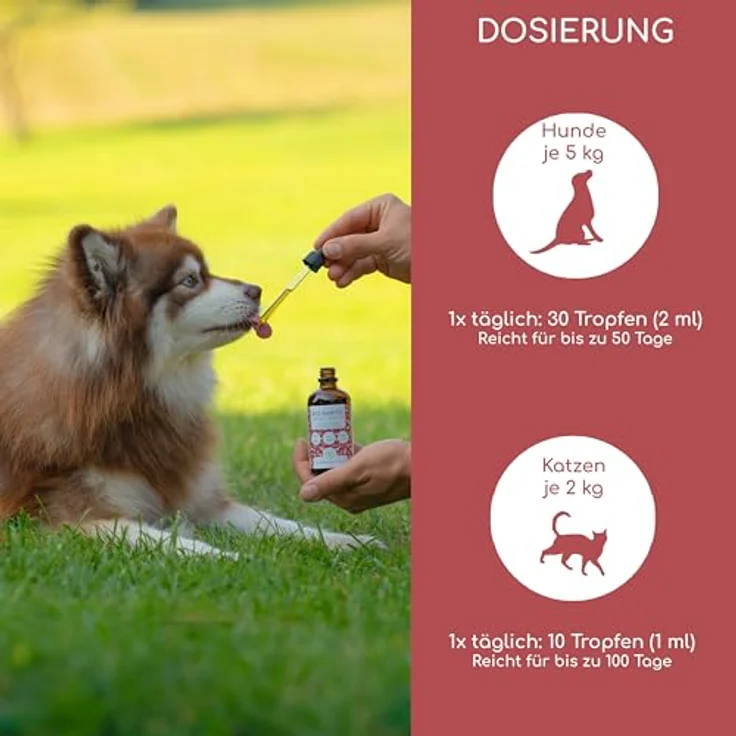 Wolfsbacher Futteröl für Hunde 100ml, 100% Bio Barföl aus Leinöl, Nachtkerzenöl, Olivenöl, Kürbiskernöl und Chiaöl, mit Omega 3-6-9, vegan und kaltgepresst, DE-ÖKO-060 – Bild 4