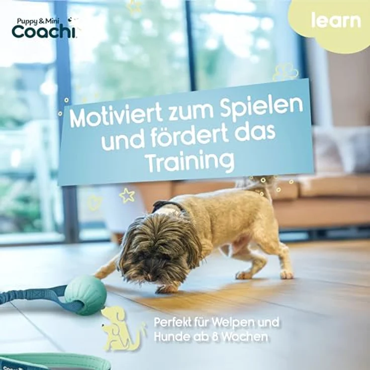 Coachi Puppy & Mini Tuggi Ball, Hundespielzeug aus robustem Schaumstoff mit dehnbarem Bungee-Griff, ideal für Zerrspiele und Apportieren – Bild 2