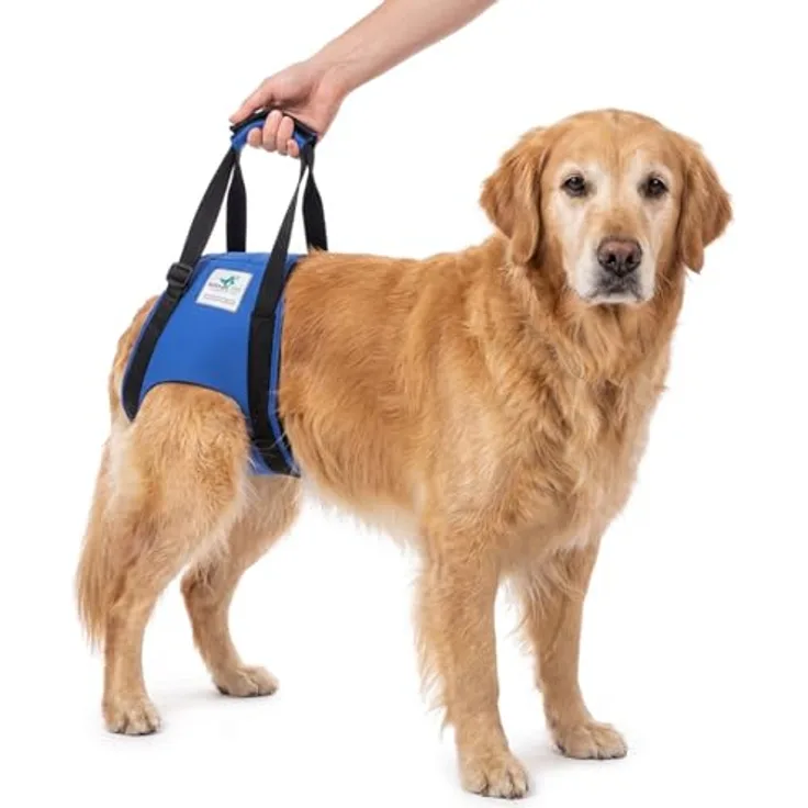 Nature Pet © Tragehilfe Hund hinten, Verstellbarer Hunde Tragegurt für ältere und operierte Vierbeiner, Unterstützung bis 40 kg, M, Schwarz