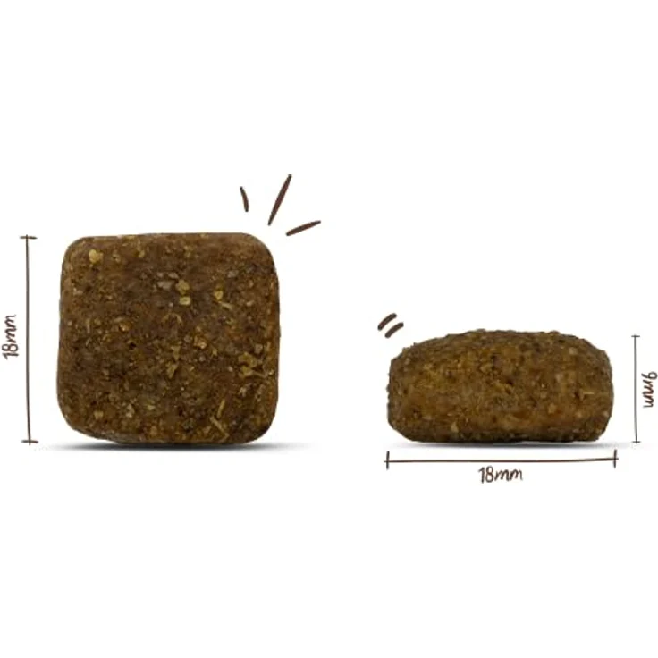 Bosch SOFT Hunde-Trockenfutter Land-Ente und Kartoffel, proteinreiches Futter für ausgewachsene Hunde, 2x12,5kg – Bild 6