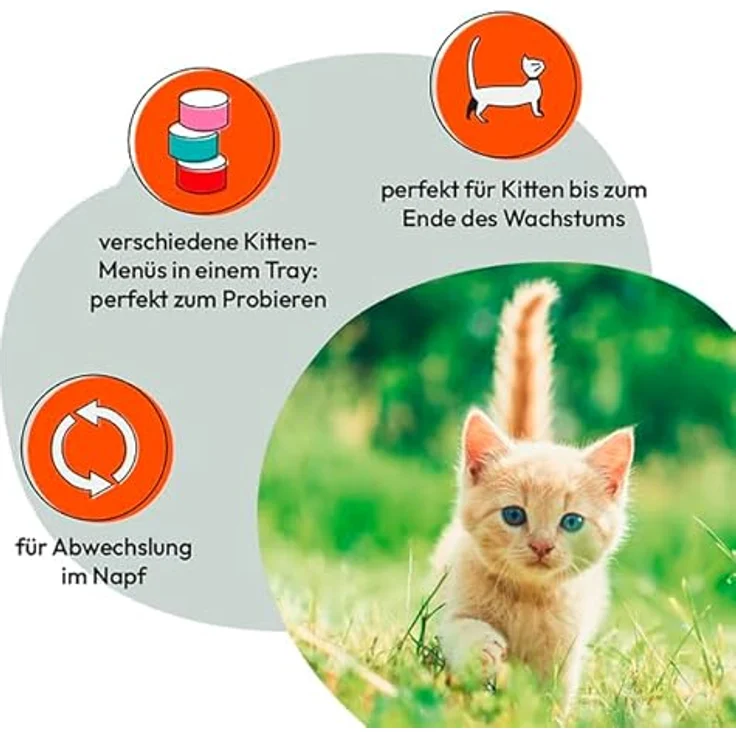GRAU – Nassfutter für Katzen, Mischtray Kitten Generation Pet, 6er Pack (6 x 200 g), getreidefrei, verschiedene Menüs – Bild 4