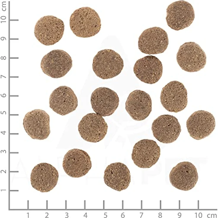 Wolfsblut VetLine Weight Management, Hunde-Trockenfutter mit Truthahn und Süßkartoffeln, 2kg – Bild 3