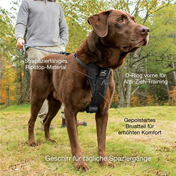 Kurgo Tru-Fit Smart Hundegeschirr, Größe M, Schwarz, mit gepolstertem Brustteil und Autosicherheitsgurt, Anti-Zug Training Clip – Bild 3