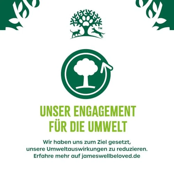 JAMES WELLBELOVED Adult Truthahn und Reis, hypoallergenes Trockenfutter für ausgewachsene Hunde, 2 kg – Bild 8