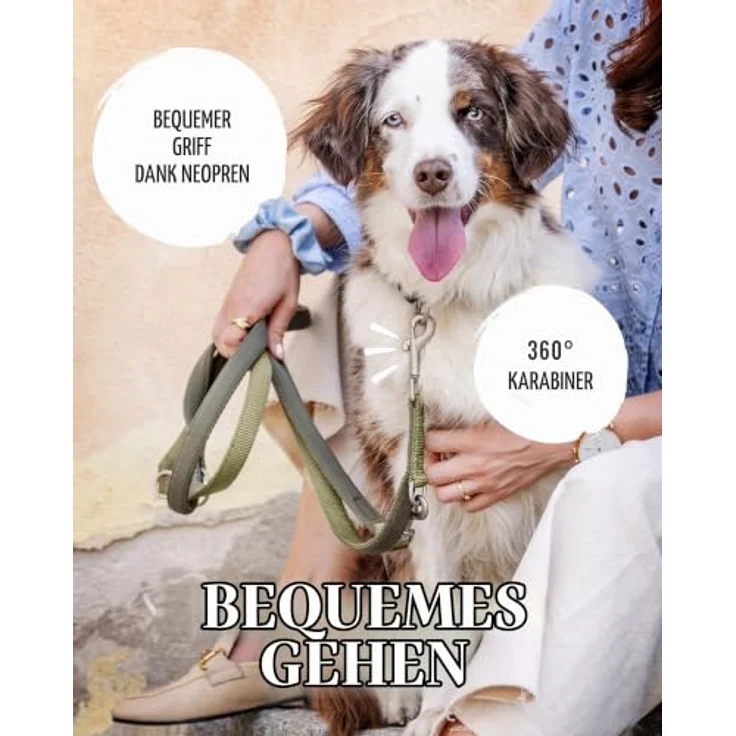 Rudelkönig Führleine Bella, Verstellbare Hundeleine für Kleine Hunde, 2,30m, Khaki-Design mit gepolsterten Kanten und stabilen Metallkarabinern – Bild 4