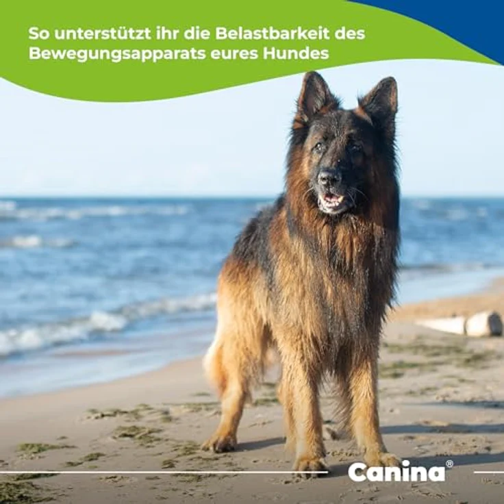 Canina Petvital Gag Tabletten, Nahrungsergänzung zur Unterstützung des Bewegungsapparates, 180 Stück (1 x 0.18 kg) – Bild 4
