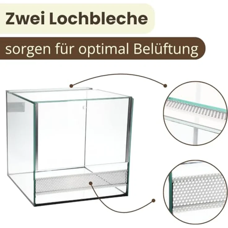 GarPet Terrarium 30x30x30 cm, Glas Terrarium für Schnecken, Spinnen und Amphibien mit Belüftung und Falltür, ideal für Pflanzen und Reptilienbecken – Bild 4
