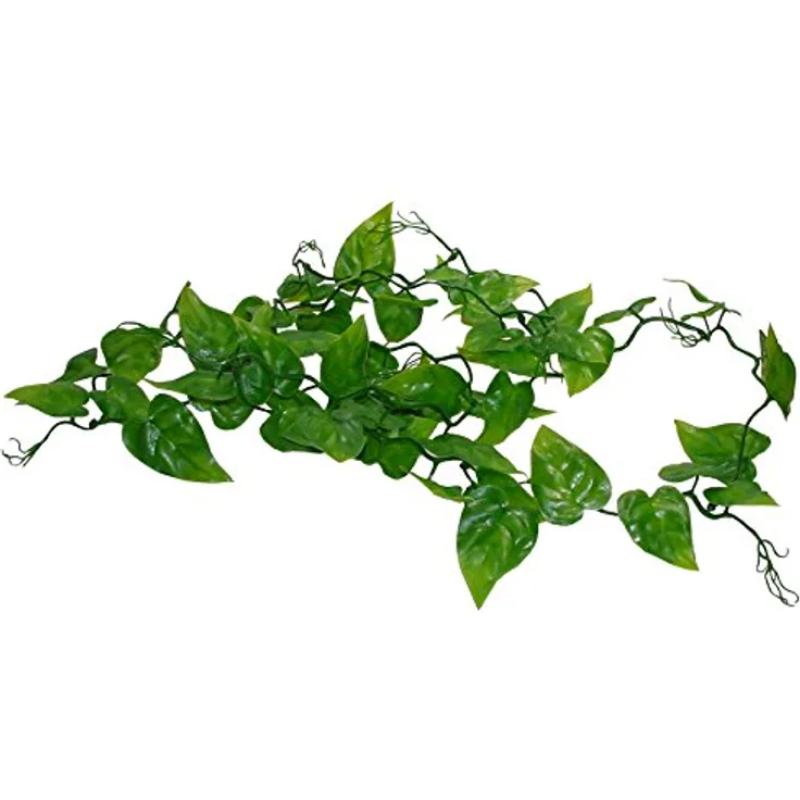 Lucky Reptile Rankenpflanze Philodendron, Kunststoff-Dekoration für Terrarien, 200 cm, Sichtschutz und Versteckmöglichkeiten