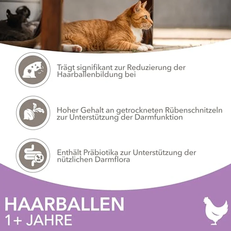 IAMS Anti-Haarballen Katzenfutter trocken mit Huhn, 3 kg - Trockenfutter für Katzen ab 1 Jahr, reich an tierischen Proteinen, weizenfrei, unterstützt gesunde Haut und glänzendes Fell – Bild 3