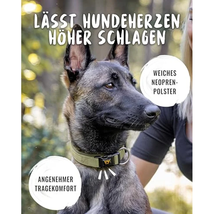 Rudelkönig Hundehalsband Bella, Verstellbares Nylon-Halsband für kleine Hunde und Welpen, Komfort-Neopren, Khaki – Bild 2