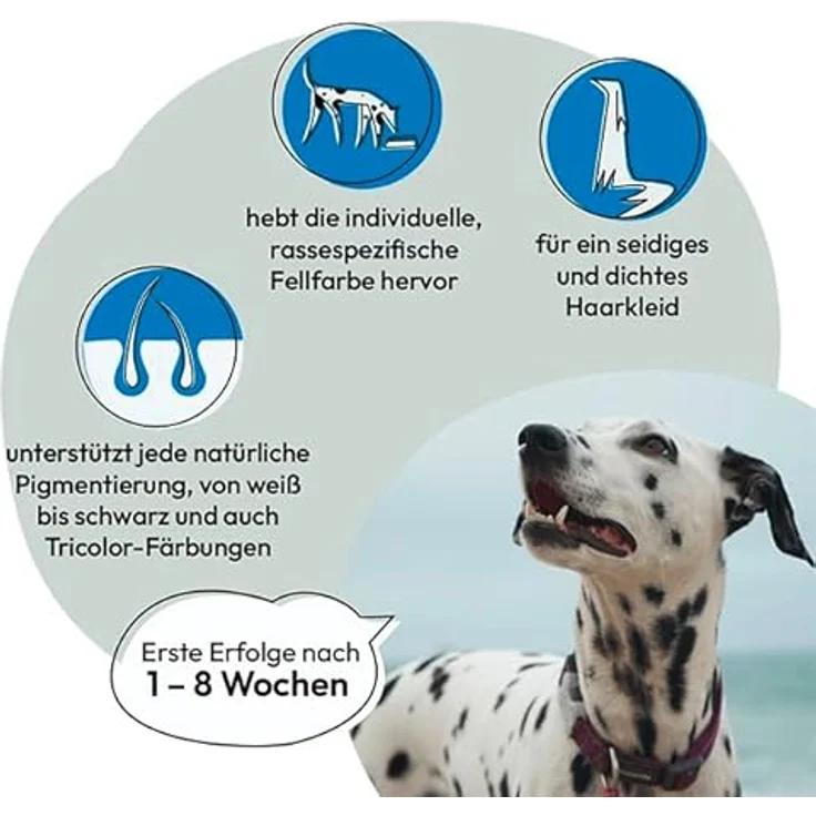 Grau Seealgenmehl 400g, natürliches Ergänzungsfutter für Hunde und Katzen, unterstützt glänzendes Fell und rassespezifische Fellfarbe – Bild 3