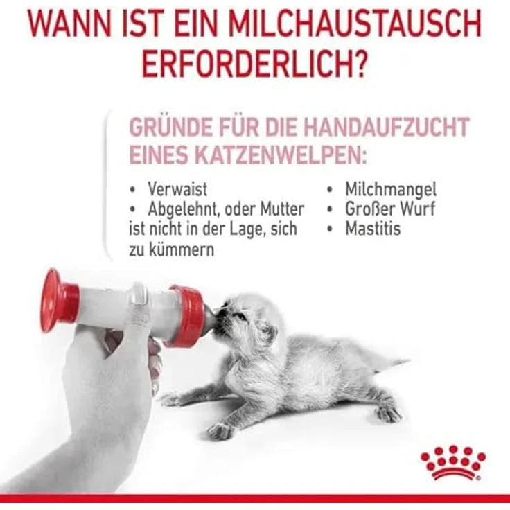 ROYAL CANIN Babycat Milk, Milchpulver für Kätzchen, 300 g, optimale Muttermilch-Nachahmung, hochverdauliche Proteine, unterstützt gesunde Verdauung und Abwehrkräfte – Bild 6