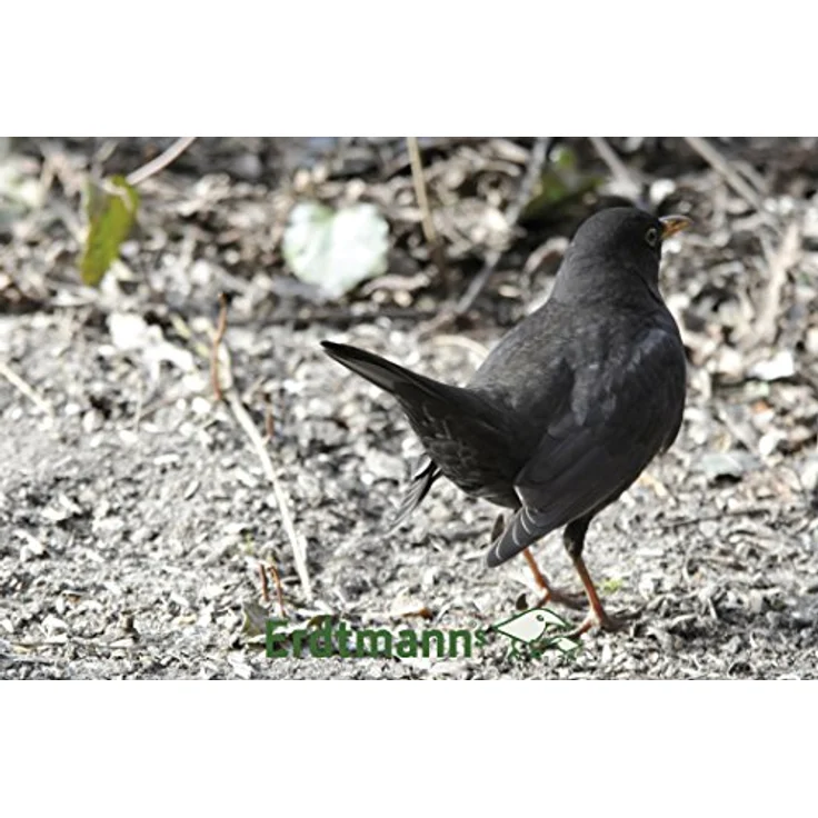 Erdtmann's Fettfutter 5 kg, energiereiches Vogelfutter mit Hafer- und Weizenflocken, ideal für Winterfütterung – Bild 2