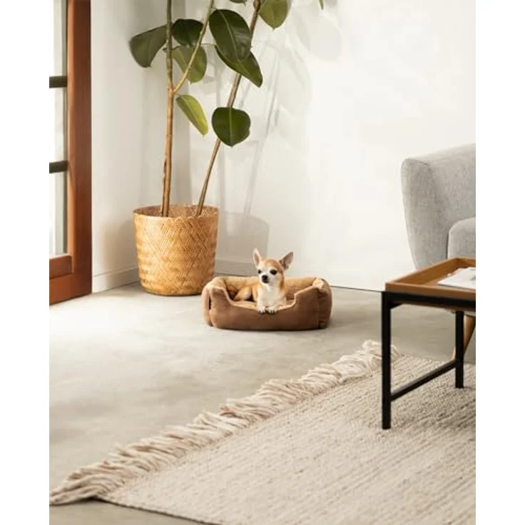 lionto Tierkissen Hundebett mit Wendekissen & Veloursbezug, beige/braun, 50 cm x 37 cm – Bild 3